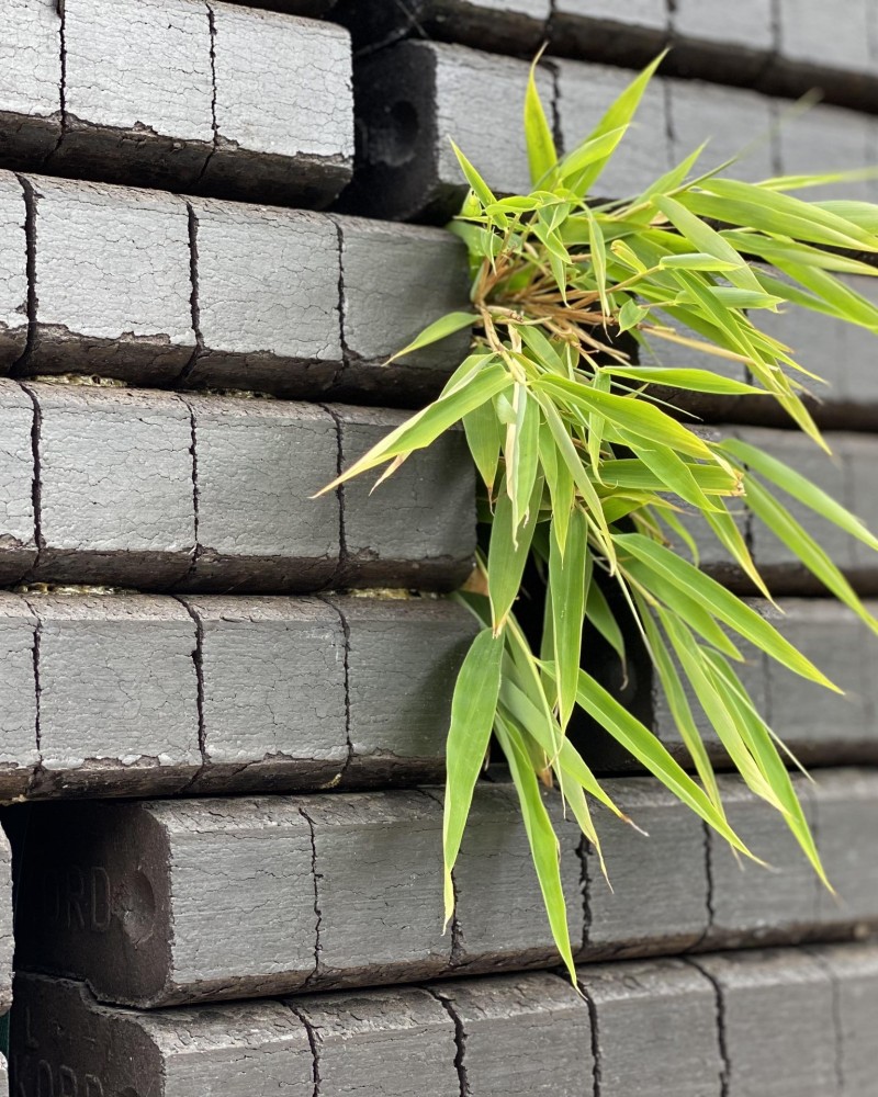 Die f&uuml;nf besten Probleml&ouml;ser