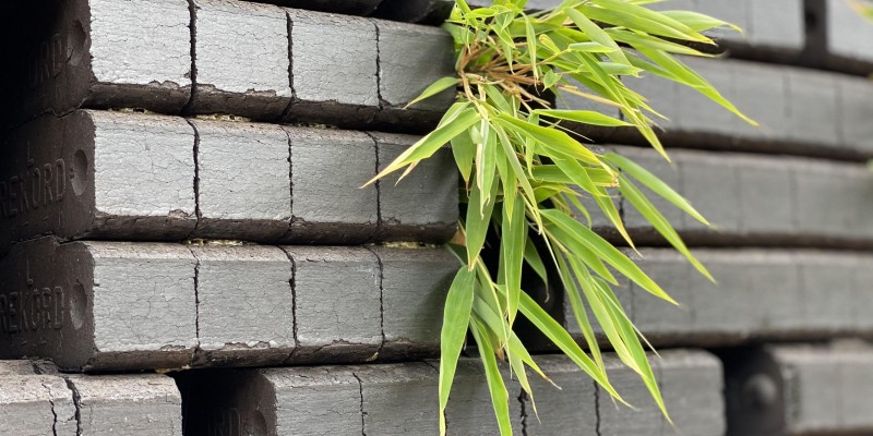 Die f&uuml;nf besten Probleml&ouml;ser